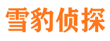 崇文找人公司